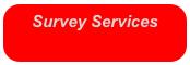 Survey Services